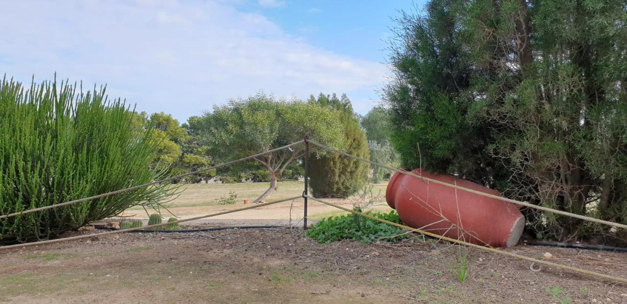 הוילה Níjar El Molino De Arriba מראה חיצוני תמונה
