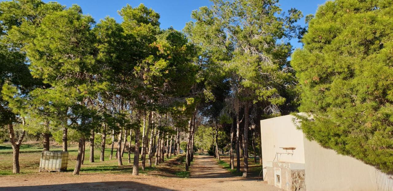הוילה Níjar El Molino De Arriba מראה חיצוני תמונה