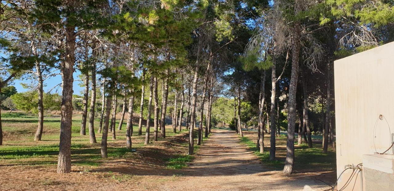 הוילה Níjar El Molino De Arriba מראה חיצוני תמונה