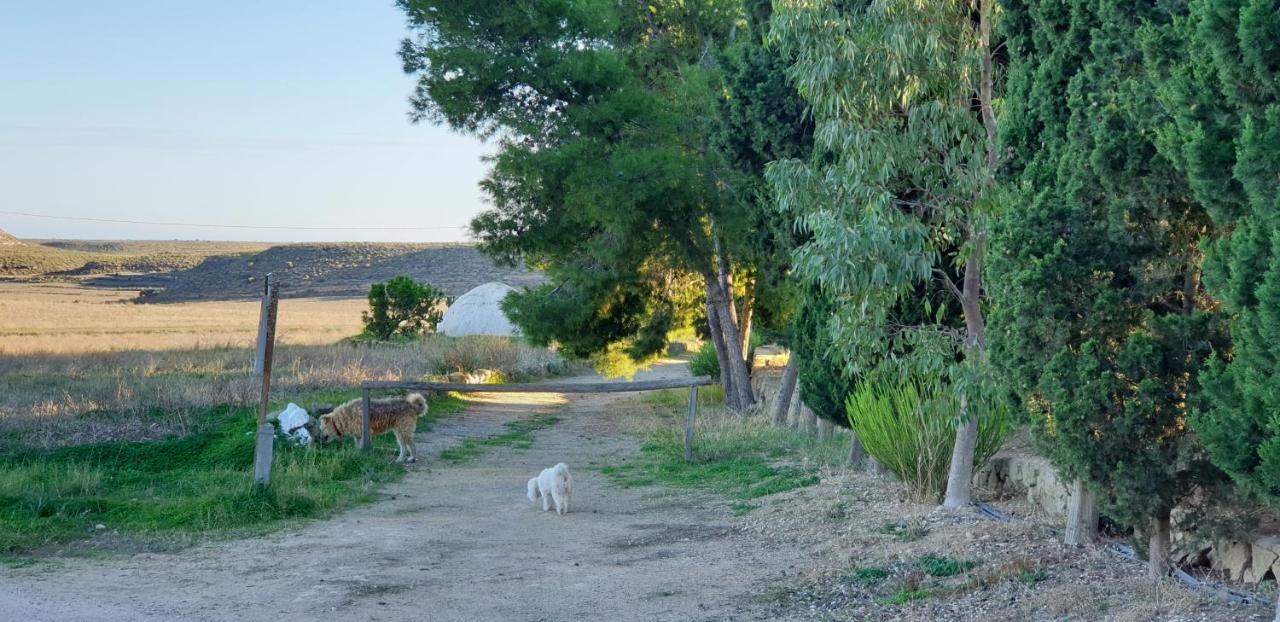 הוילה Níjar El Molino De Arriba מראה חיצוני תמונה