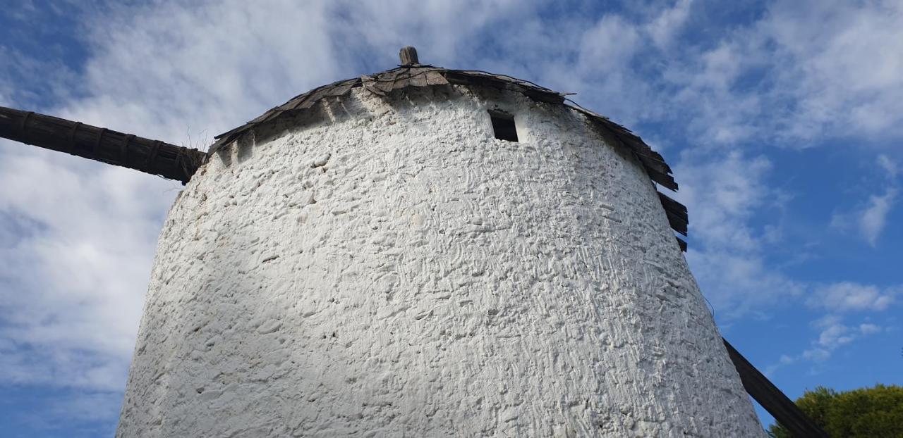 הוילה Níjar El Molino De Arriba מראה חיצוני תמונה