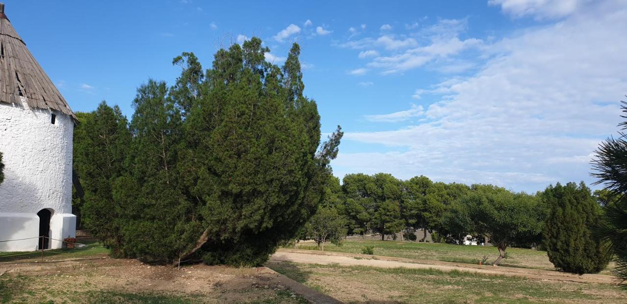 הוילה Níjar El Molino De Arriba מראה חיצוני תמונה