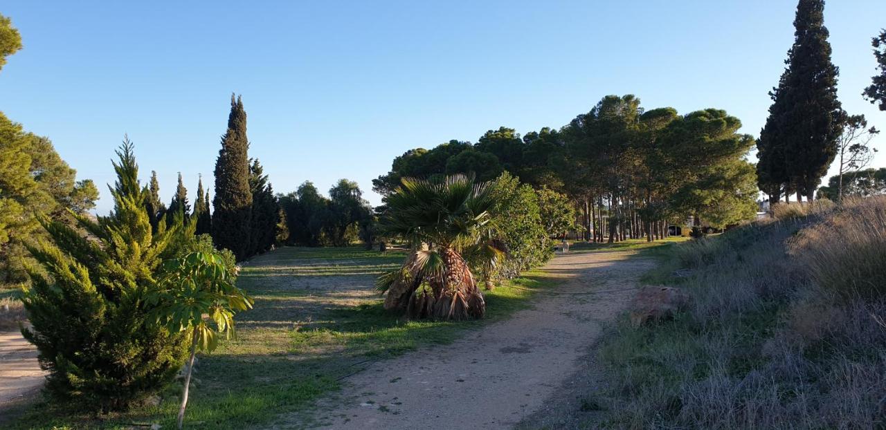 הוילה Níjar El Molino De Arriba מראה חיצוני תמונה